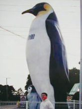 pengin1.jpg