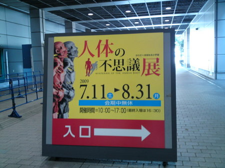 SN3J0063.jpg