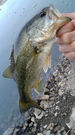20090430053600.jpg
